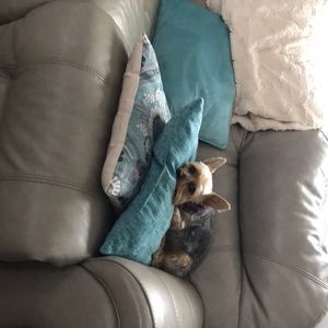 Meet your Posher, Karen